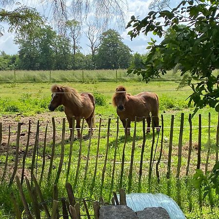 Bed & Breakfast 5 Min From E47 - Dogs Welcome - Cosy Farm Bnb Tureby Экстерьер фото