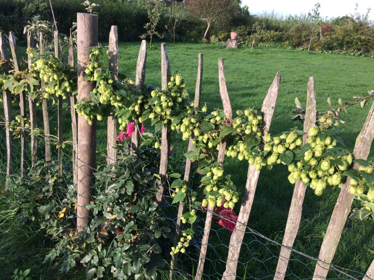 Bed & Breakfast 5 Min From E47 - Dogs Welcome - Cosy Farm Bnb Tureby Экстерьер фото
