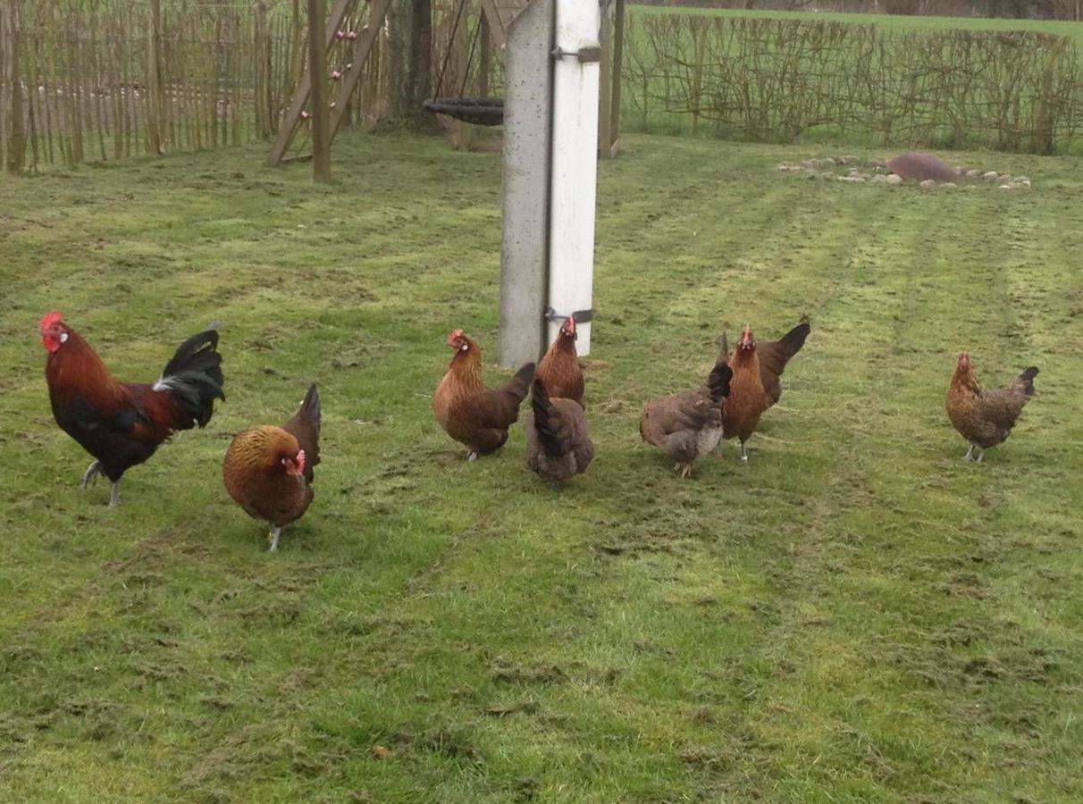 Bed & Breakfast 5 Min From E47 - Dogs Welcome - Cosy Farm Bnb Tureby Экстерьер фото