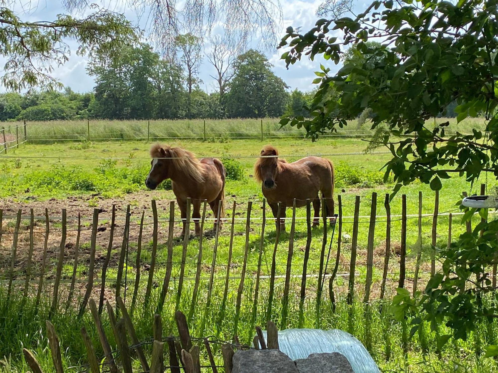 Bed & Breakfast 5 Min From E47 - Dogs Welcome - Cosy Farm Bnb Tureby Экстерьер фото